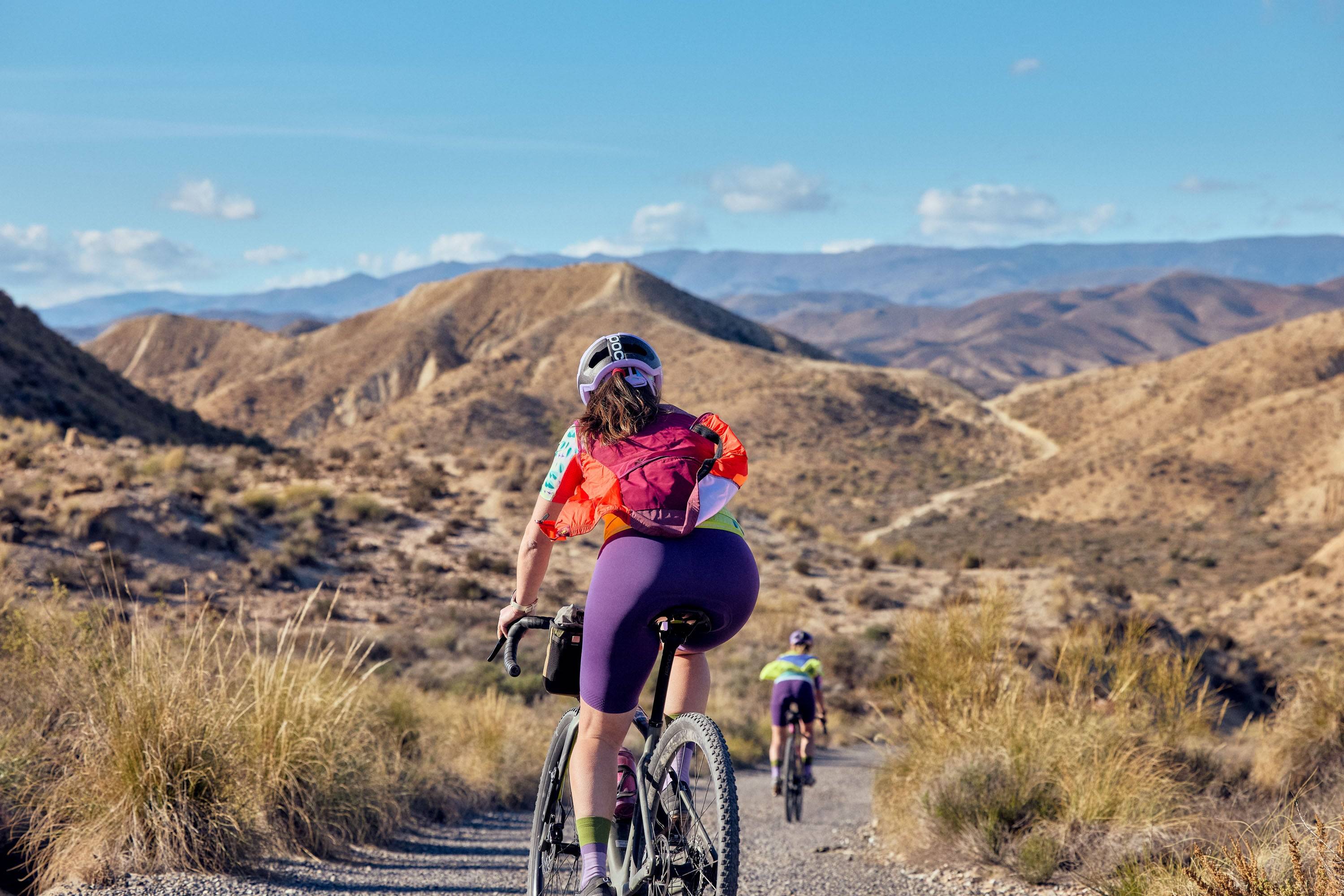 Signature Bib Short 3.0 - Bilberry