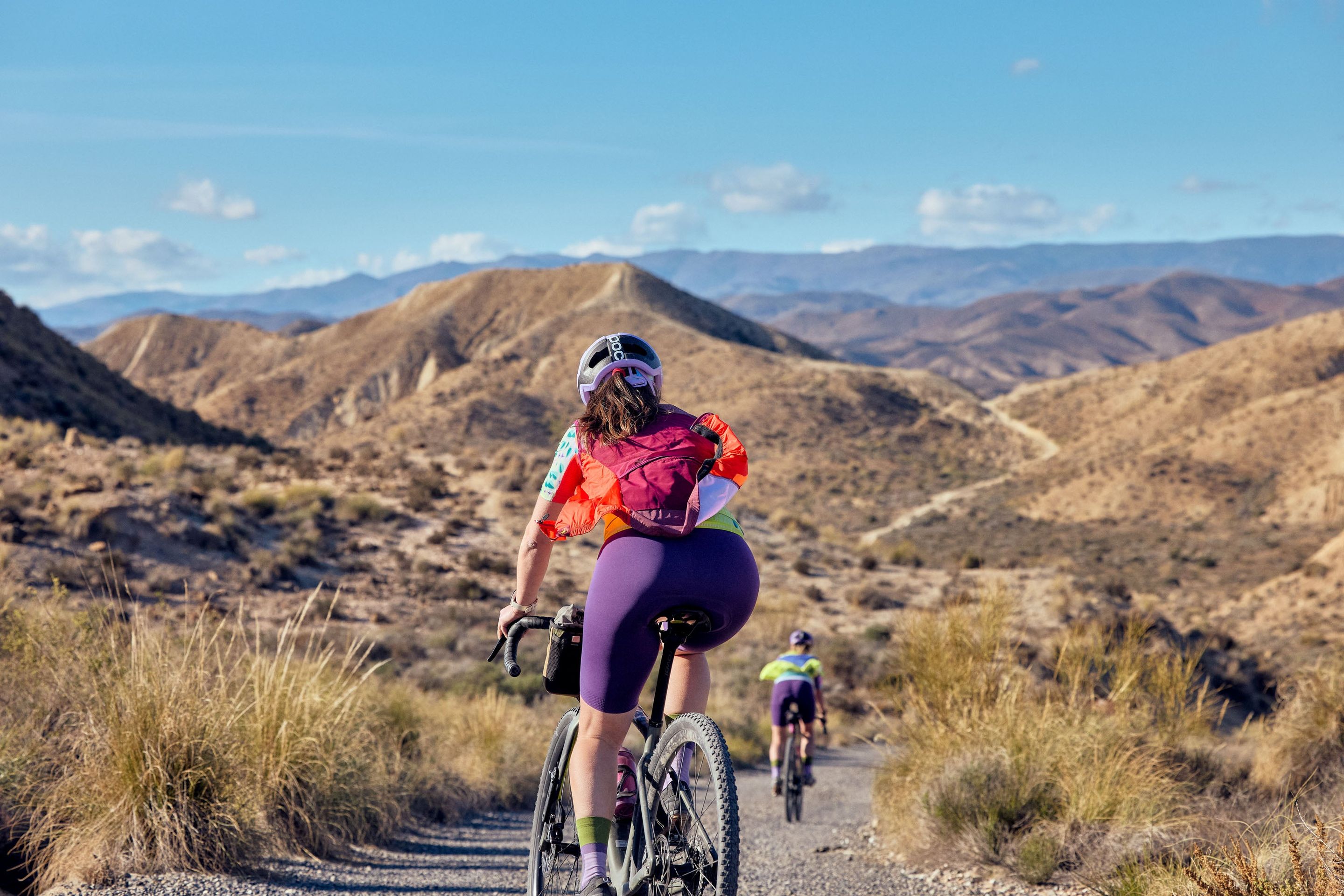 Signature Bib Short 3.0 - Bilberry