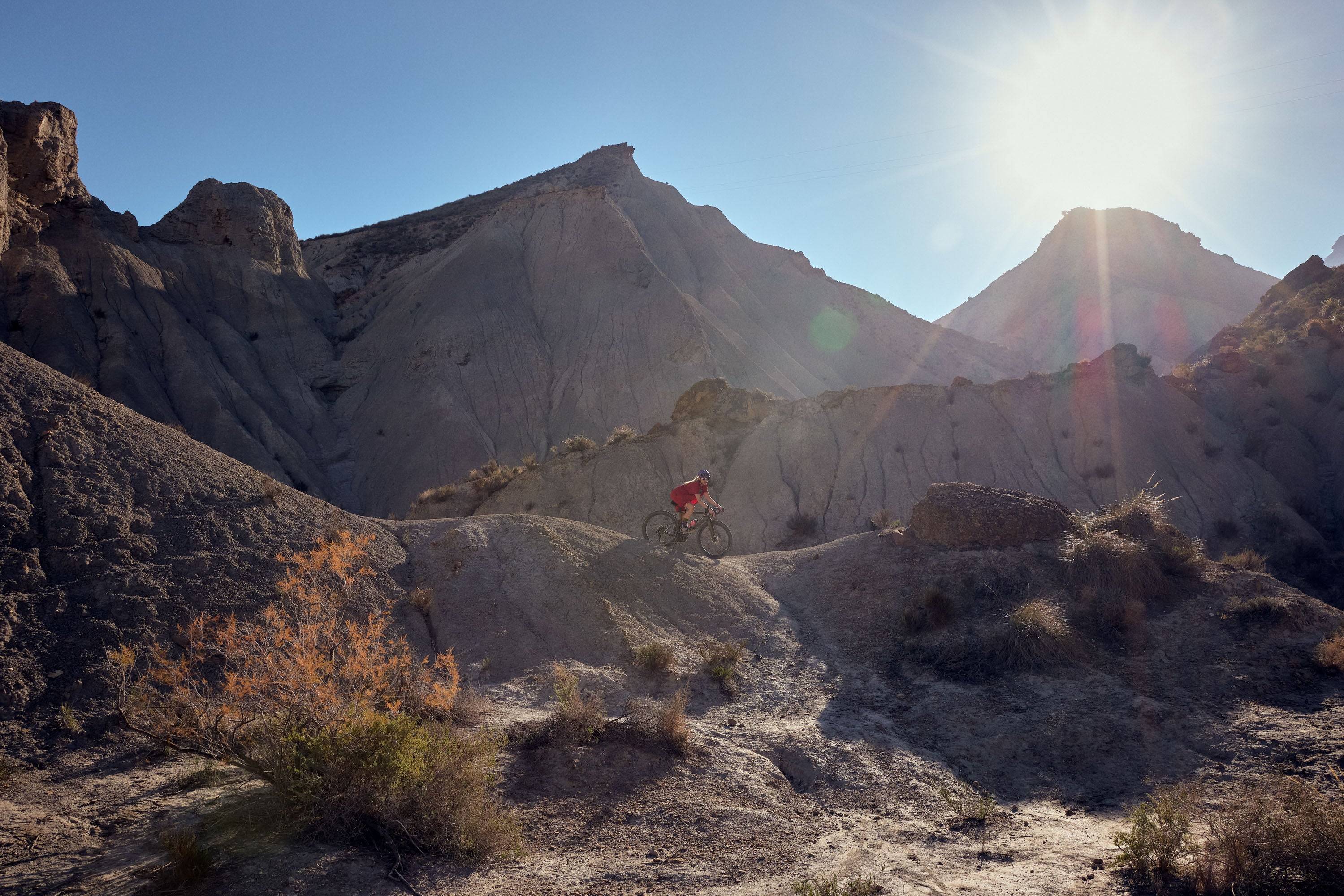 Desert Diaries